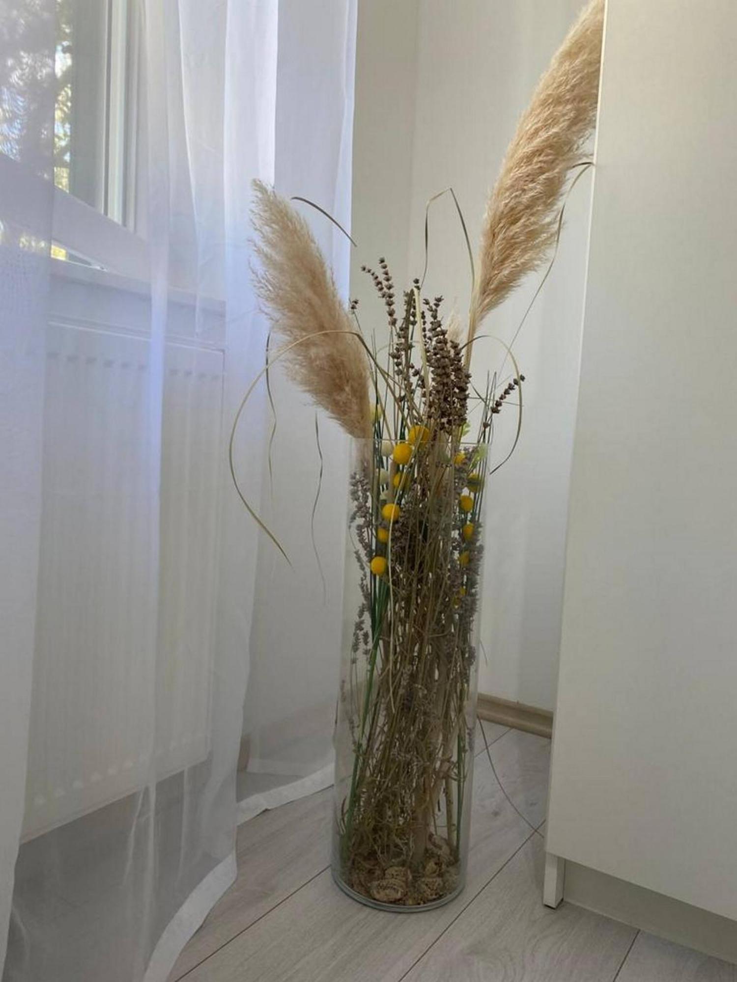 Drniš Rural Apartment Ante מראה חיצוני תמונה