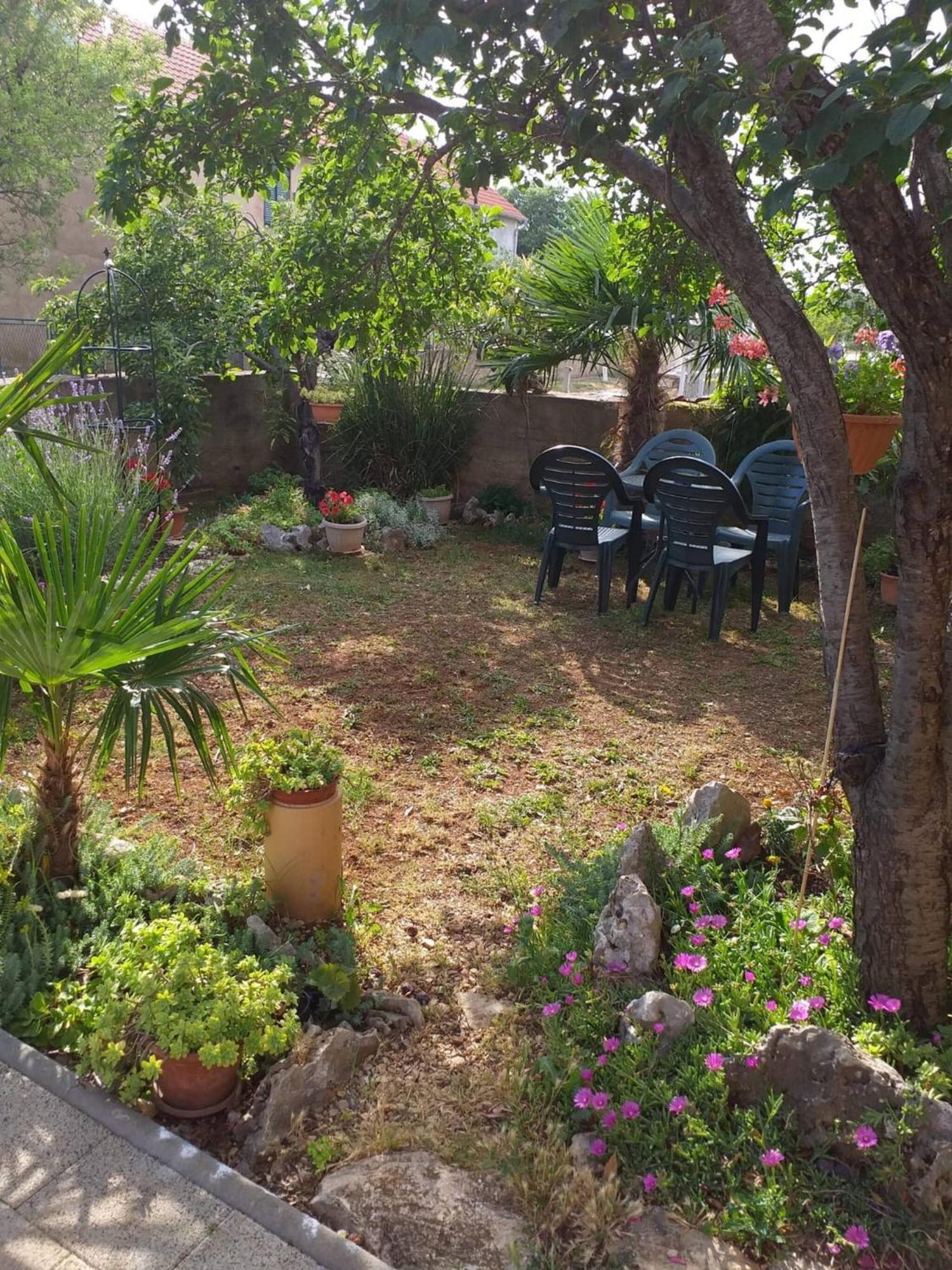 Drniš Rural Apartment Ante מראה חיצוני תמונה