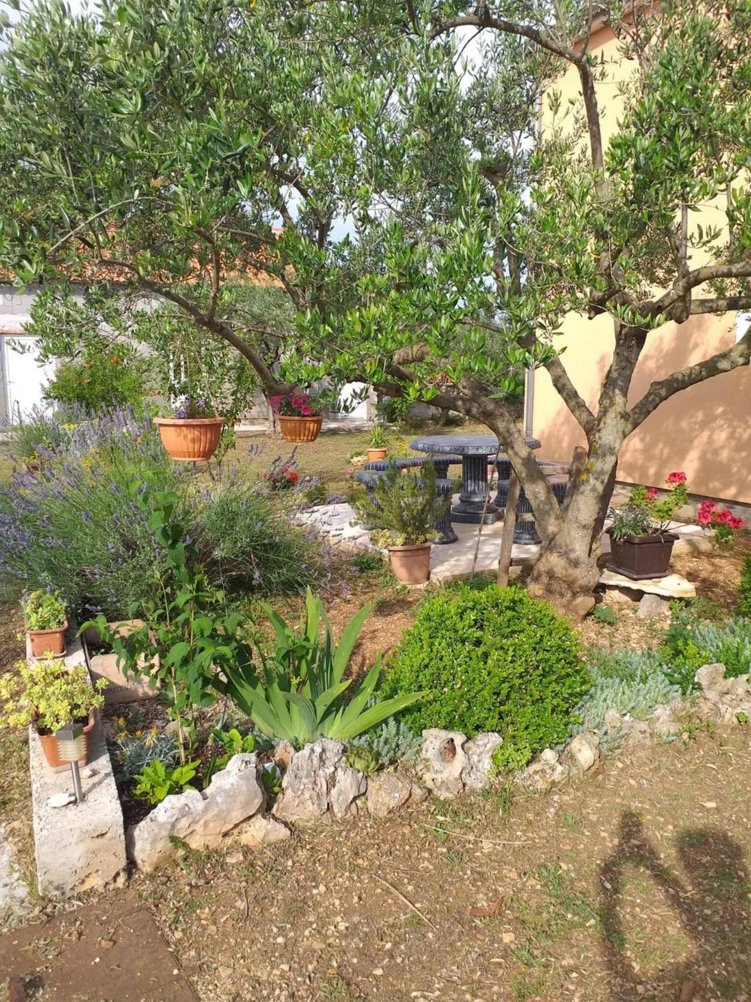 Drniš Rural Apartment Ante מראה חיצוני תמונה