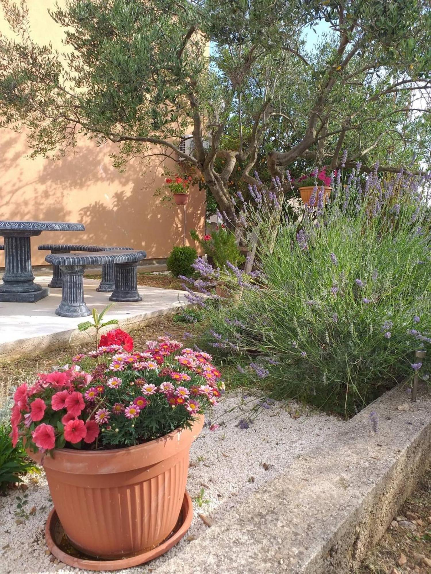 Drniš Rural Apartment Ante מראה חיצוני תמונה